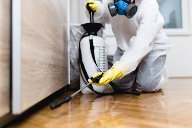 Best Flea Control Services  in Tappahannock, VA