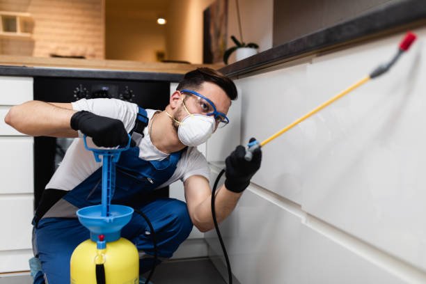 Best Cockroach Control Services  in Tappahannock, VA
