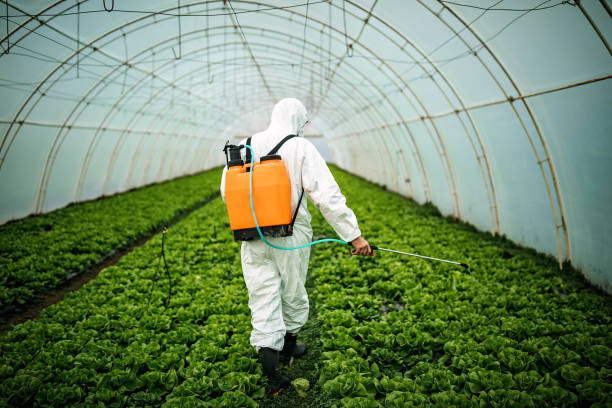 Best Best Pest Control Near Me  in Tappahannock, VA