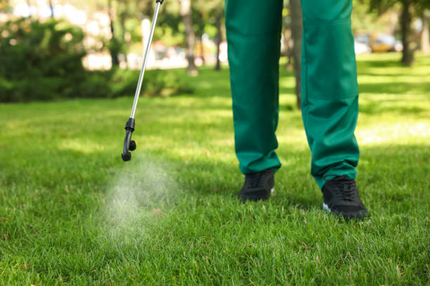 Best Pest Removal Services  in Tappahannock, VA