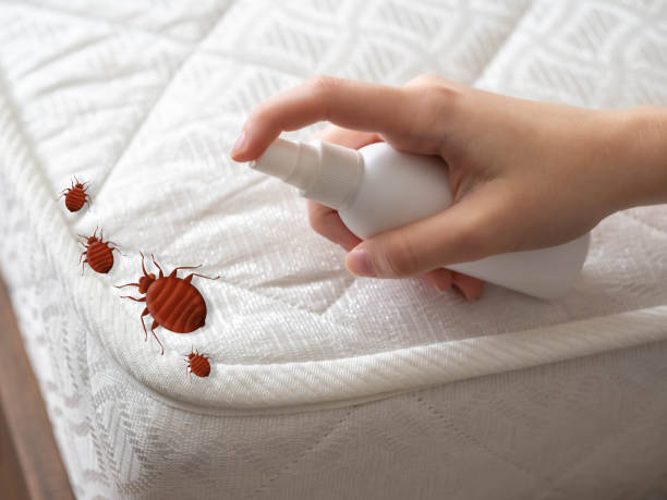 Best Pest Control for Restaurants  in Tappahannock, VA