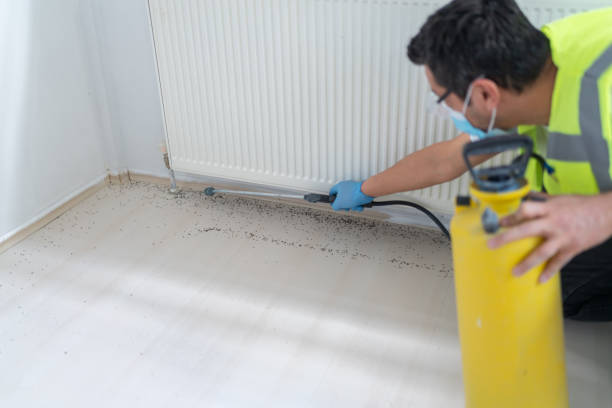 Best Pest Prevention Services  in Tappahannock, VA