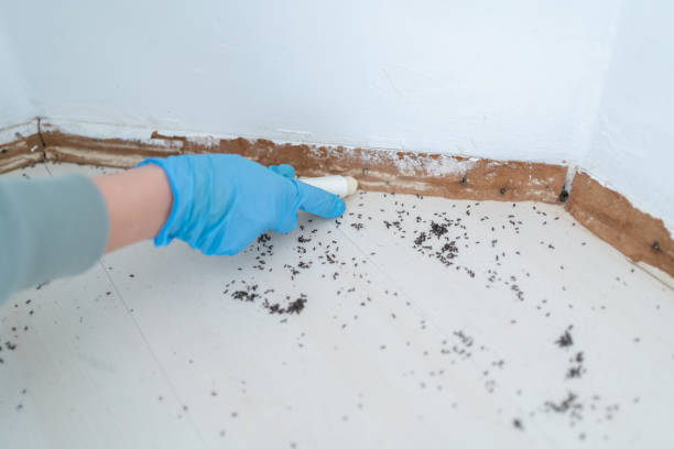 Best Rat Extermination Near Me  in Tappahannock, VA
